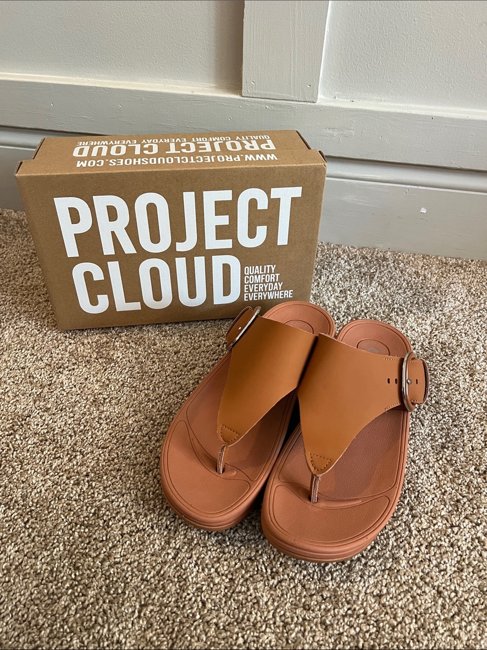 Project Cloud Brown Leather Thong Sandals